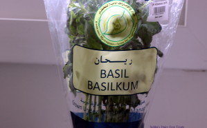 Basil