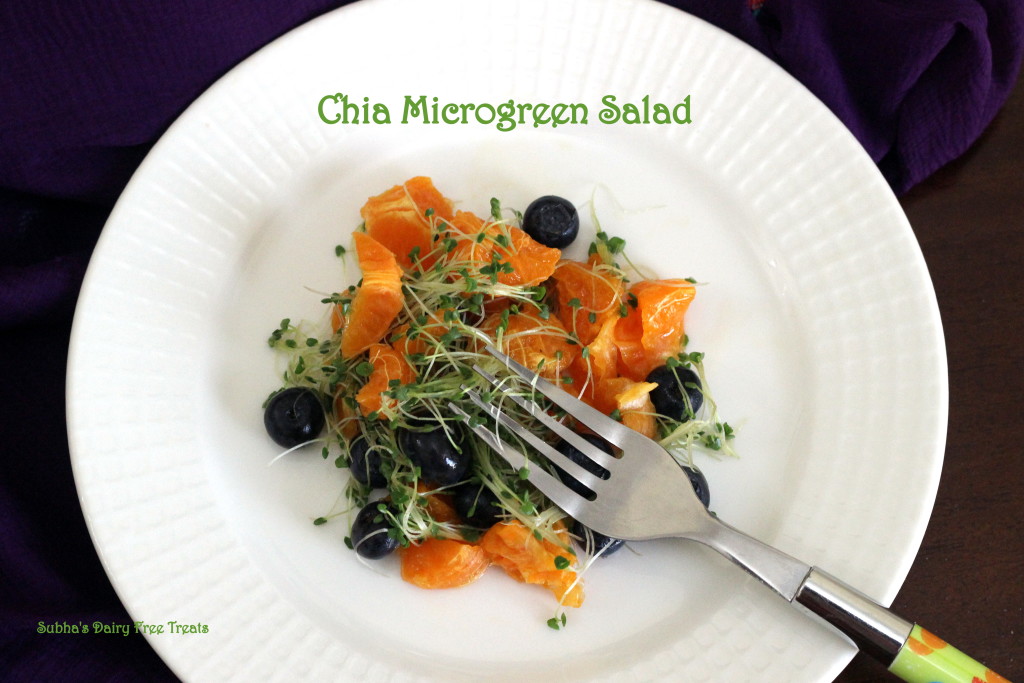 Chia Microgreen Salad 1