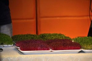 microgreens